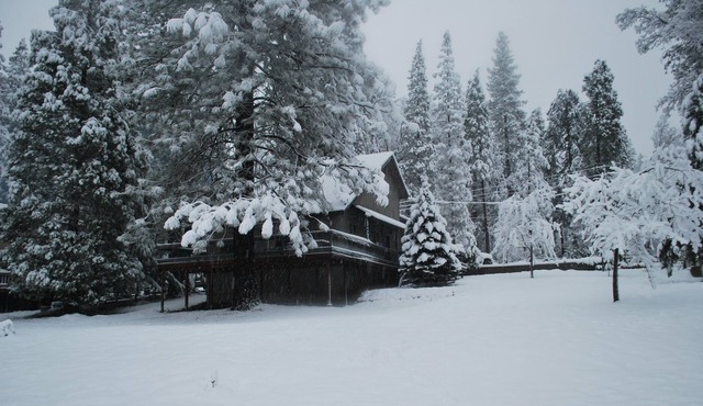 Yosemite’s Hitescove Hideaway!