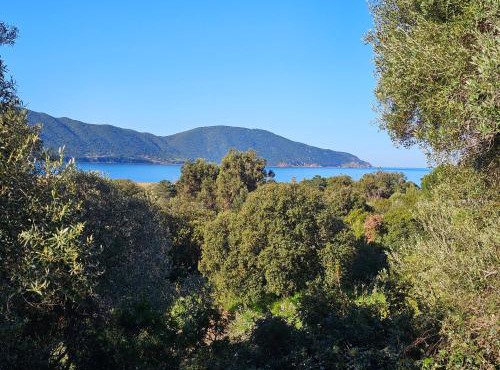 Yourte Corsica vera