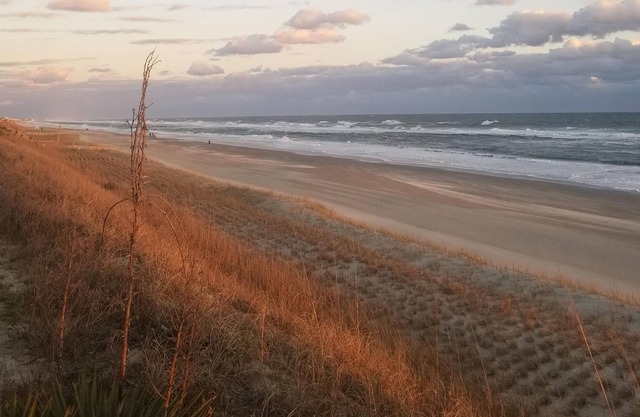 Summer Winds Beach 