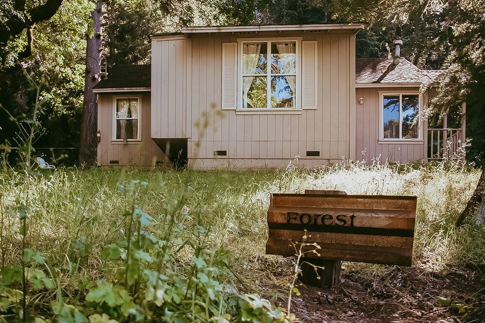 Hopland Cottage | Idyllic wine country cottage surrounded by fir & oak trees - water view patio