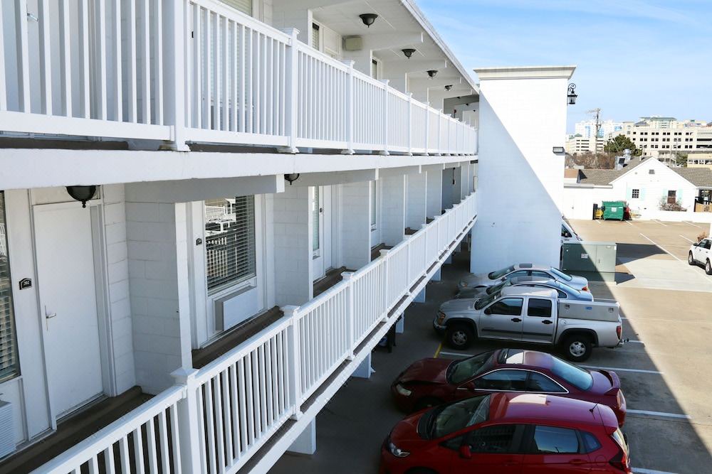 Photo of Others in Northeast Virginia Beach