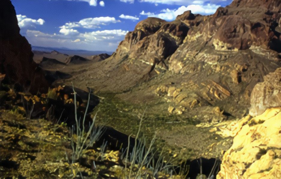 Photo of Others in Gila Bend