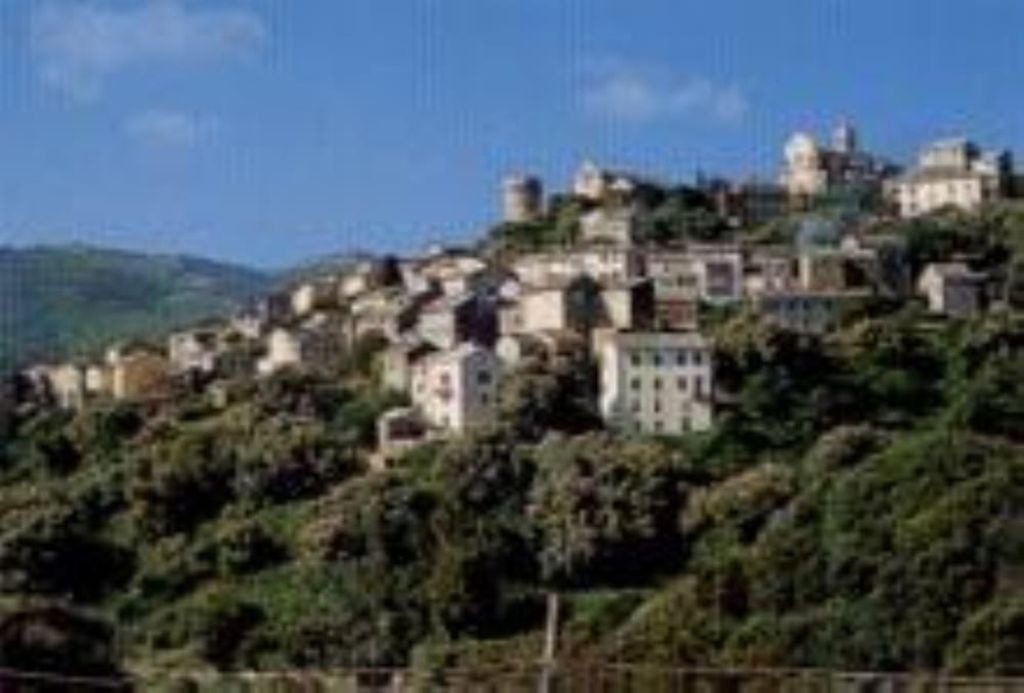 Photo of Others in Macinaggio