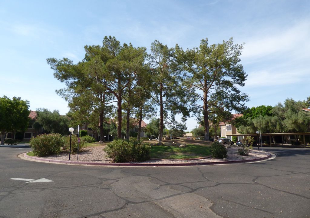 Photo of Others in Alta Mesa Community Association