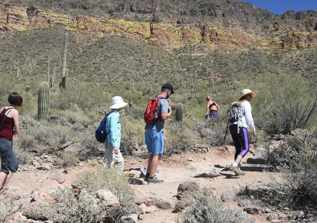 Photo of Human In Picture in Alta Mesa
