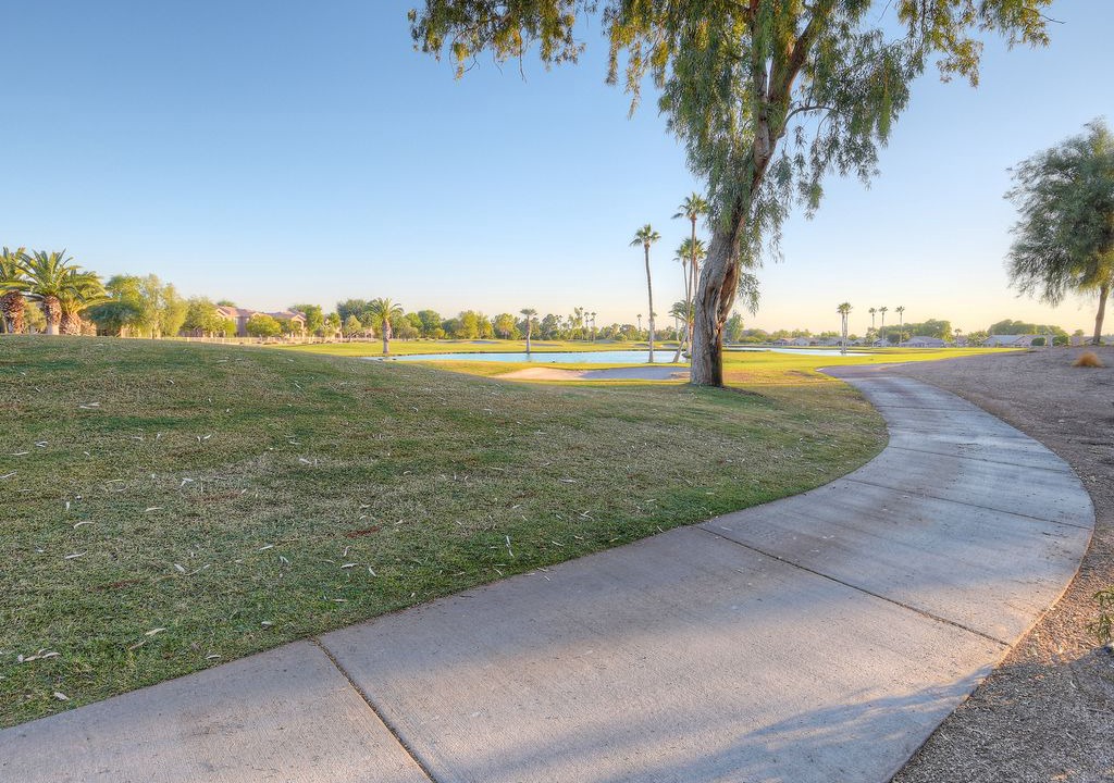 Photo of Others in Alta Mesa