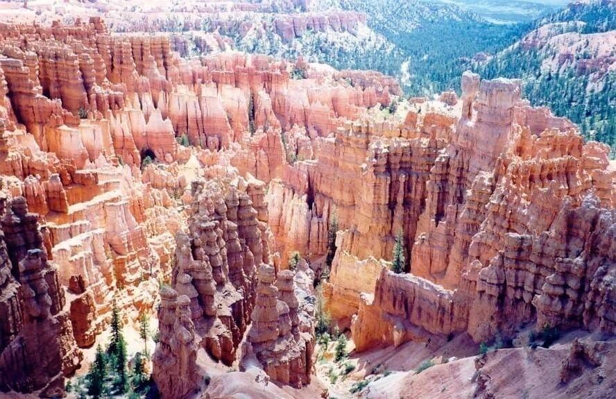 Photo of Others in St. George