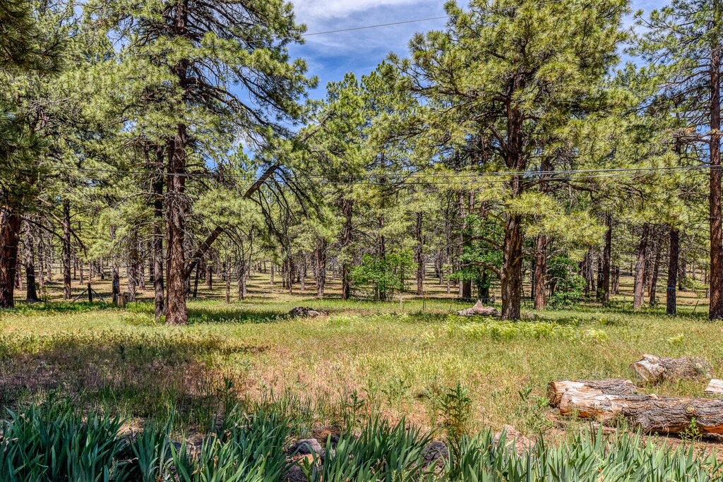 Photo of Outdoor in Parks