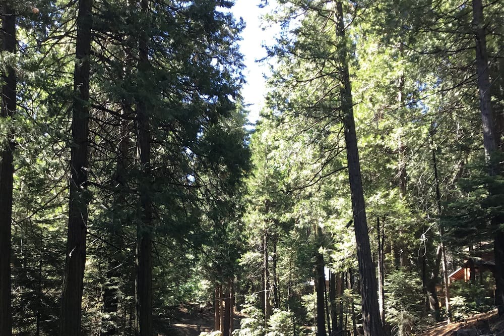 Photo of Others in Alta Sierra