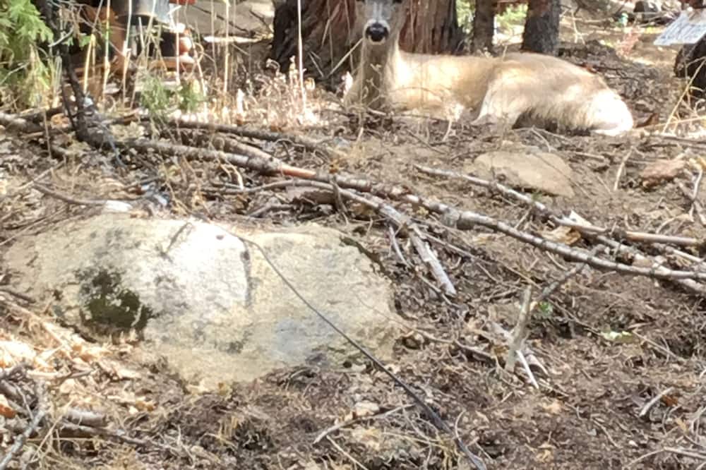 Photo of Others in Alta Sierra