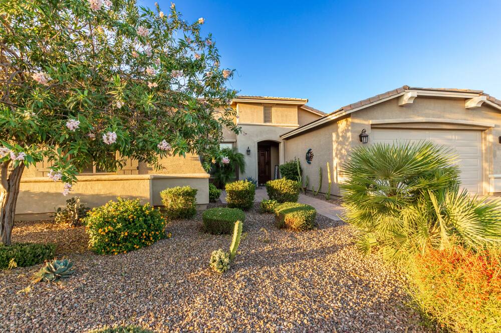 Photo of Others in San Tan Valley