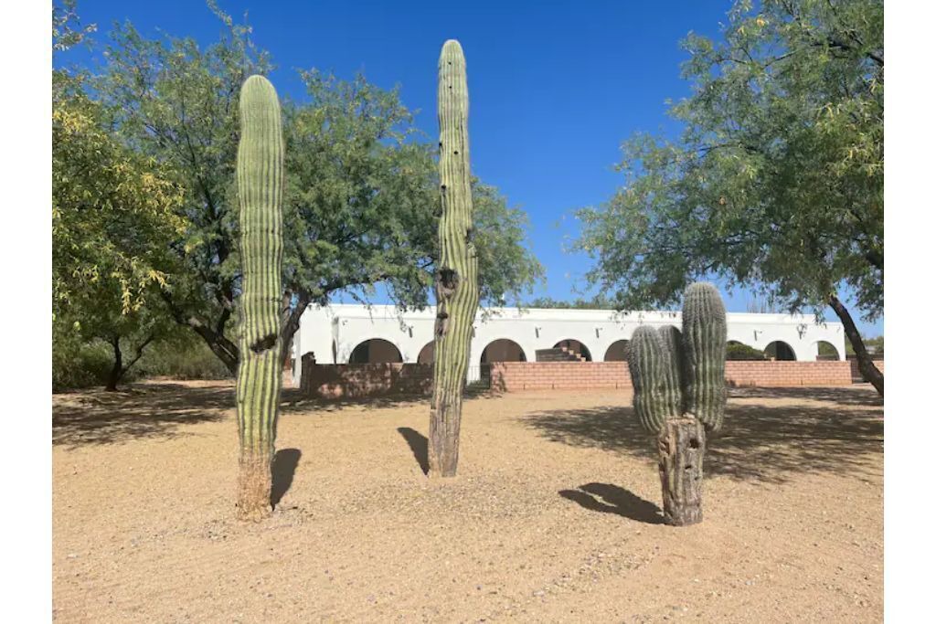 Photo of Outdoor in Sahuarita