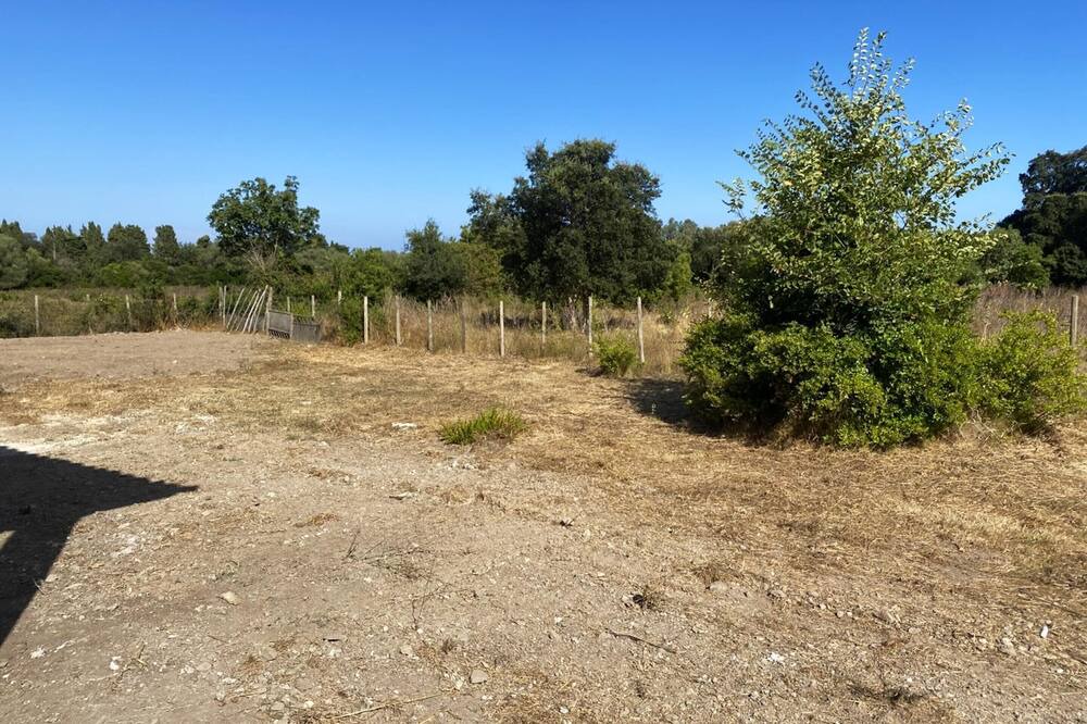 Photo of Others in Serra-di-Fiumorbo