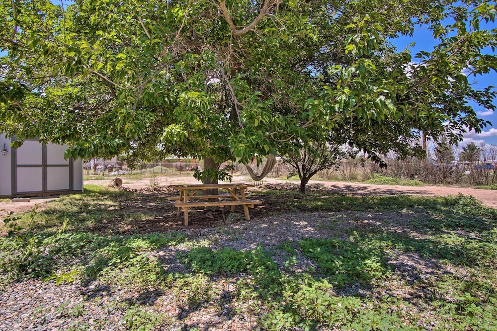 Photo of Outdoor in Elfrida