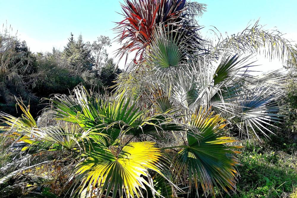 Photo of Outdoor in Eccica-Suarella