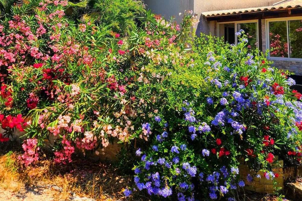 Photo of Outdoor in Eccica-Suarella