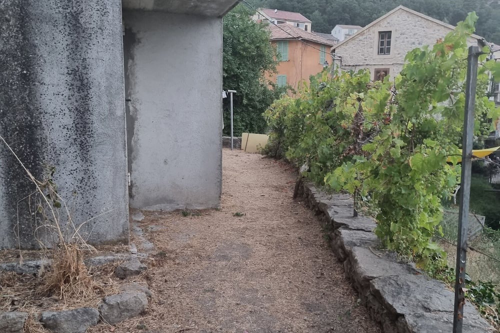 Photo of Outdoor in Guiselle