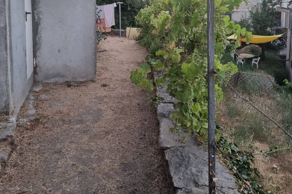 Photo of Outdoor in Guiselle