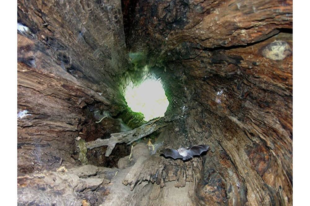 Photo of Outdoor in Carcheto-Brustico
