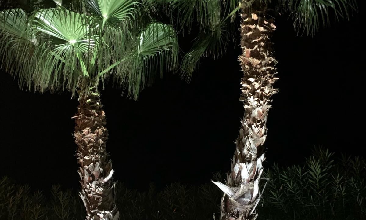 Photo of Outdoor in Tarcu