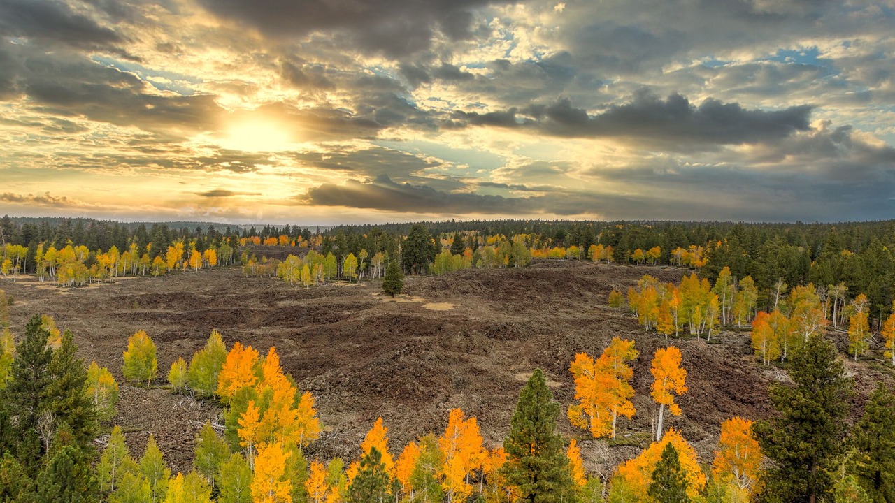 Photo of Outdoor in Mammoth Creek