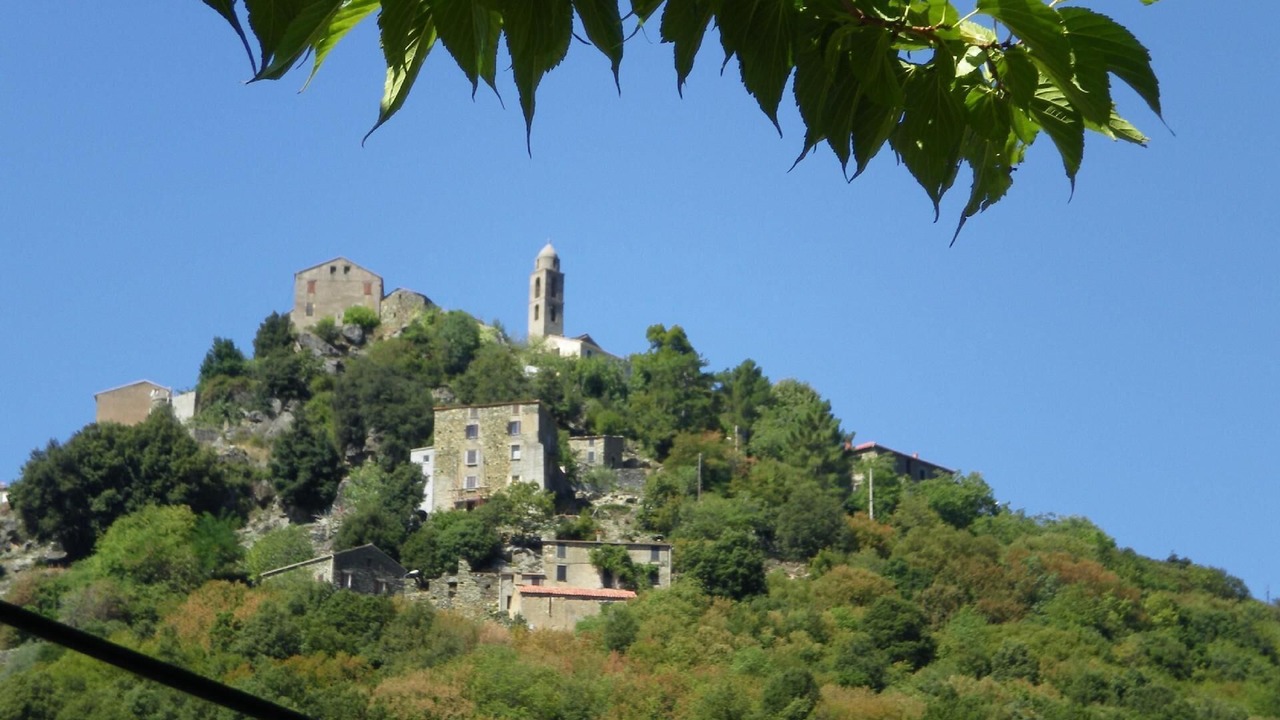 Photo of Others in Santa-Lucia-di-Mercurio