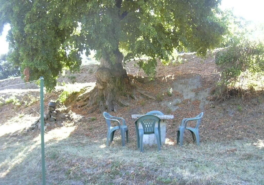 Photo of Outdoor in Santa-Lucia-di-Mercurio