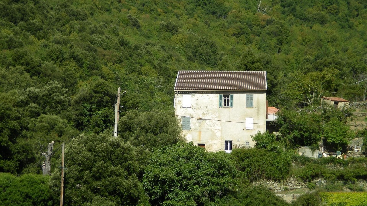 Photo of Outdoor in Santa-Lucia-di-Mercurio
