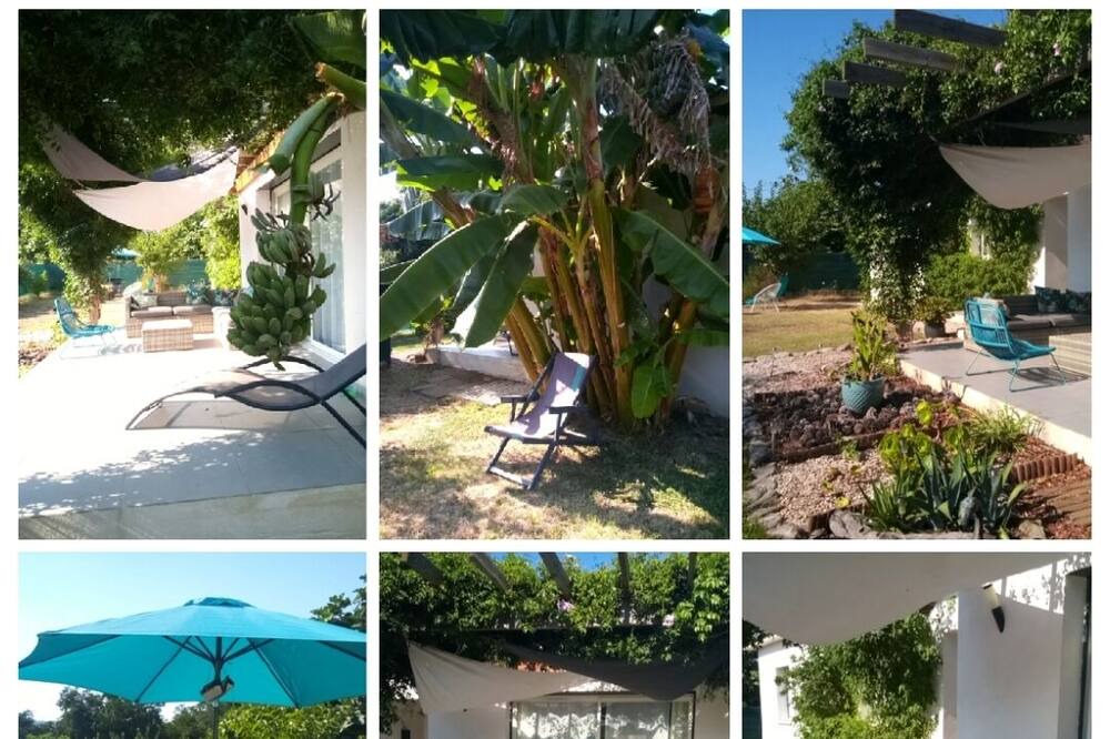 Photo of Others in Santa-Lucia-di-Moriani