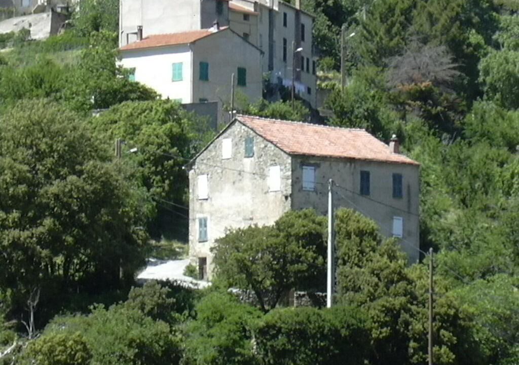 Photo of Outdoor in Santa-Lucia-di-Mercurio
