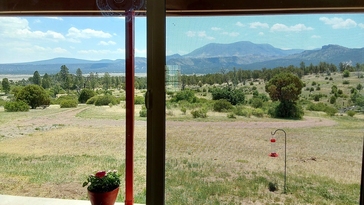 Photo of Outdoor in Eagar