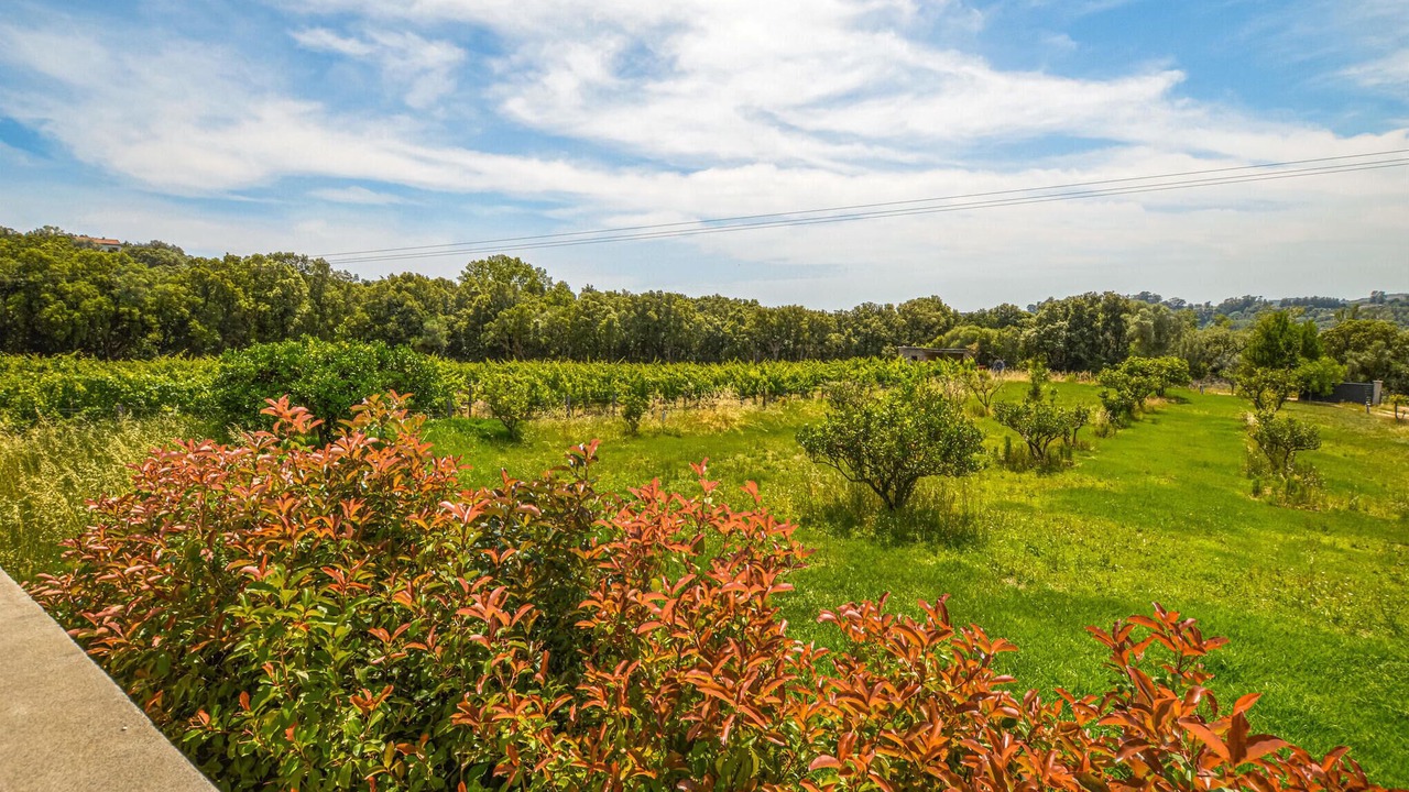 Photo of Outdoor in Giuncaggio
