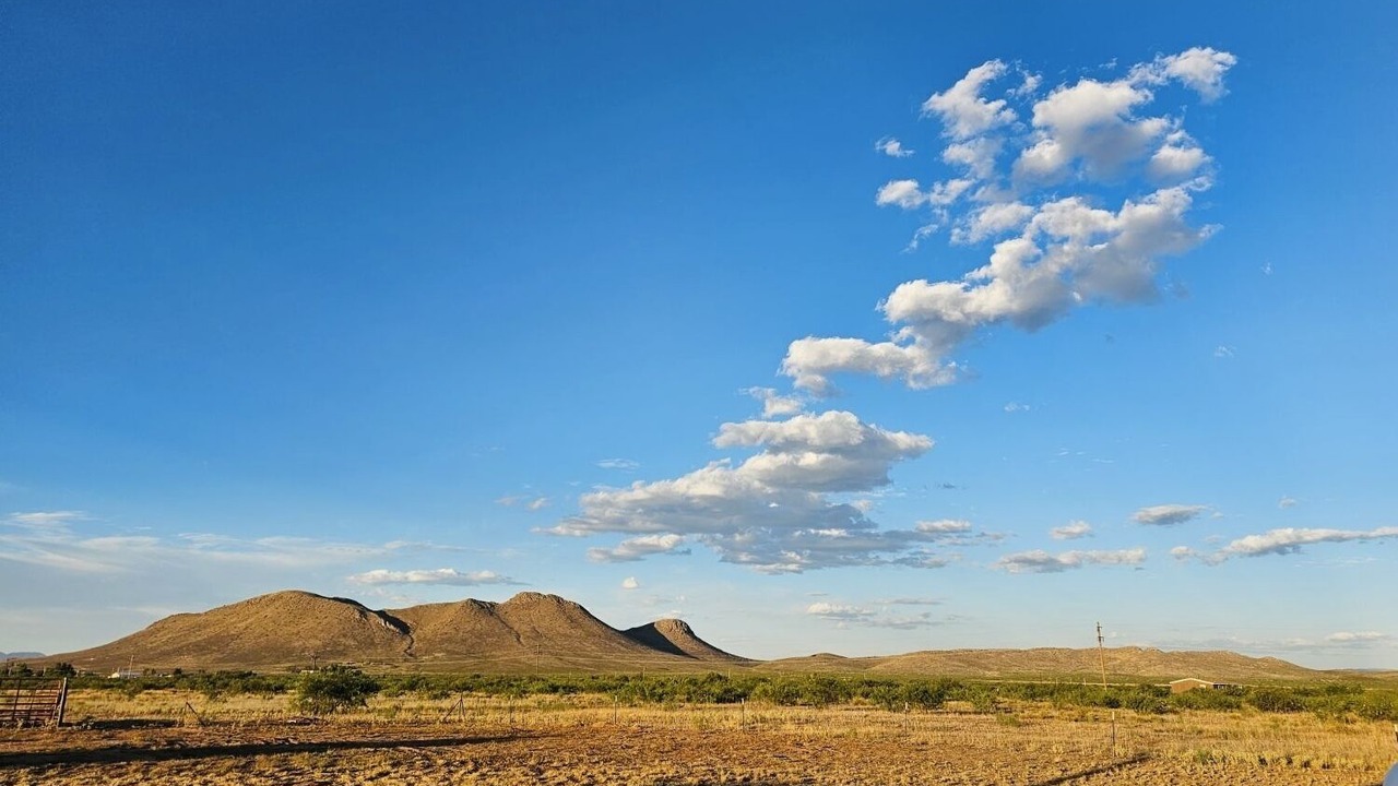 Photo of Outdoor in Pearce