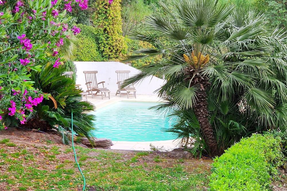 Photo of Outdoor in Patrimonio