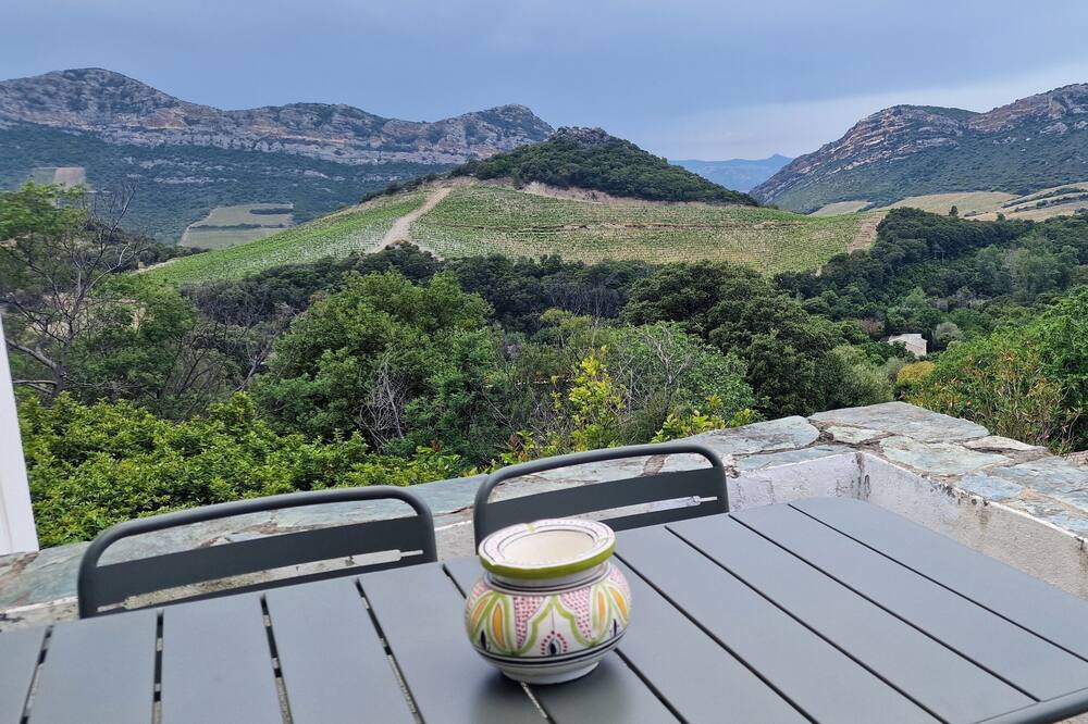 Photo of Outdoor in Patrimonio