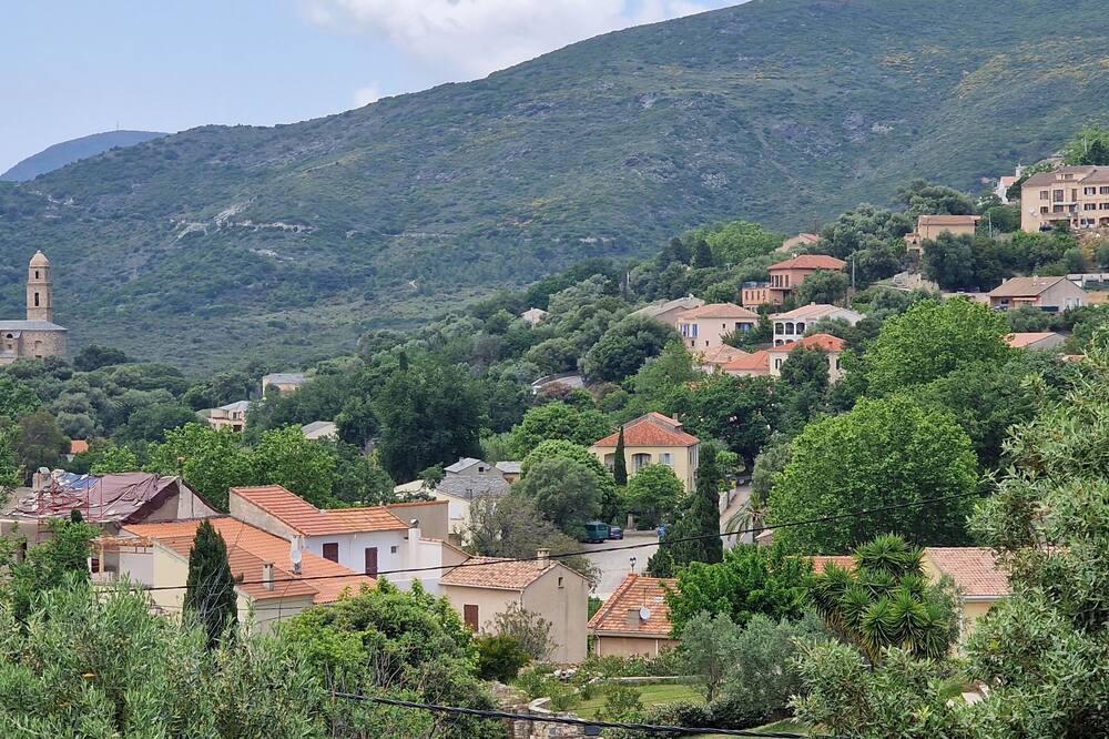 Photo of Outdoor in Patrimonio
