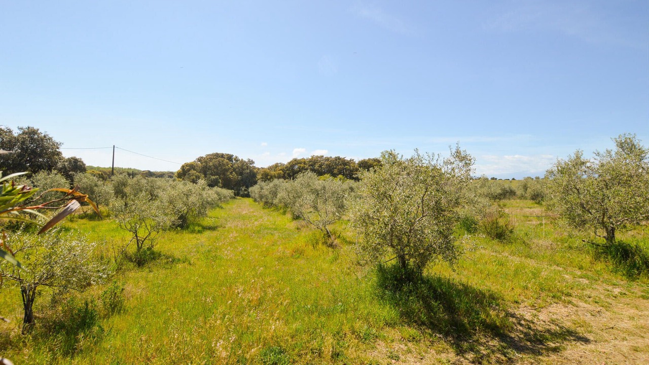Photo of Outdoor in Canale-di-Verde