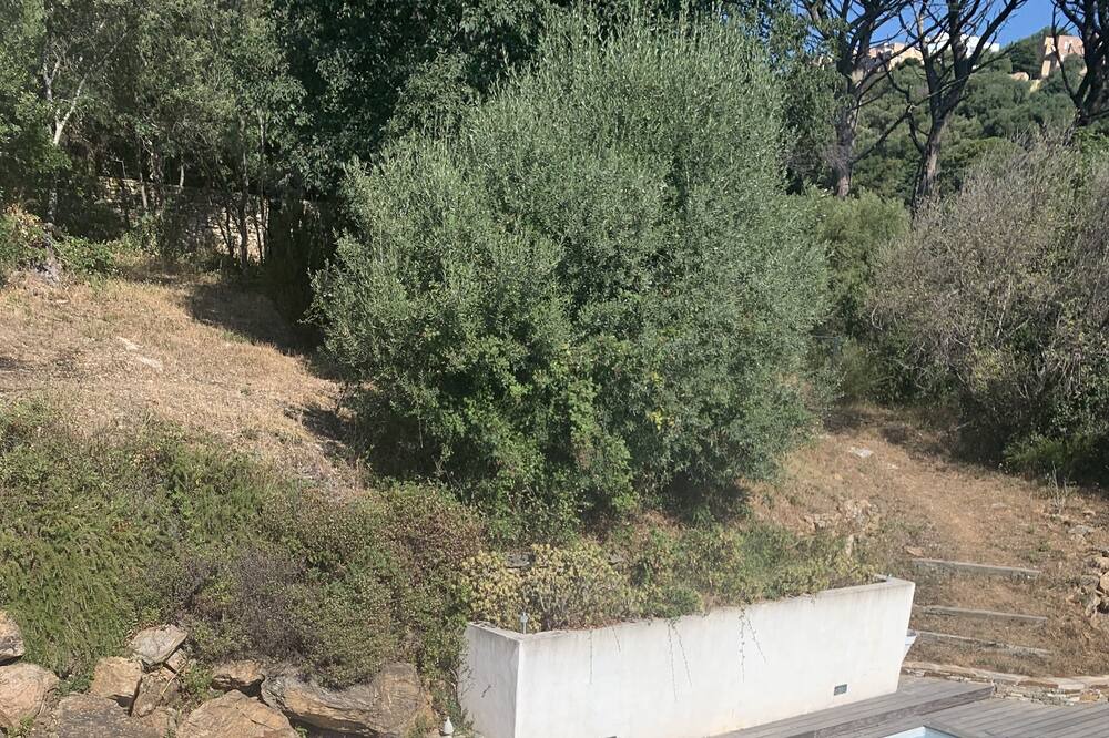 Photo of Outdoor in Bastia