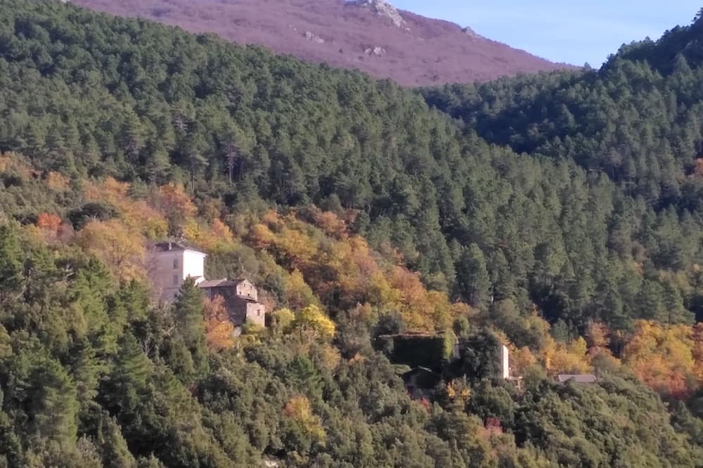 Photo of Outdoor in Olini