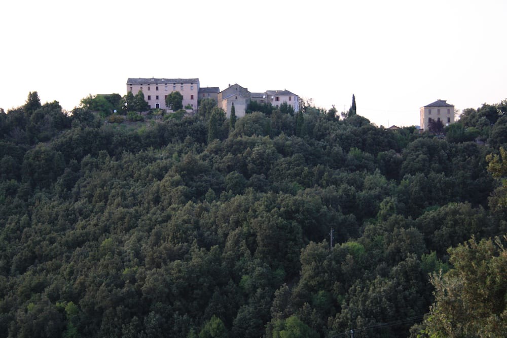 Photo of Outdoor in Olini