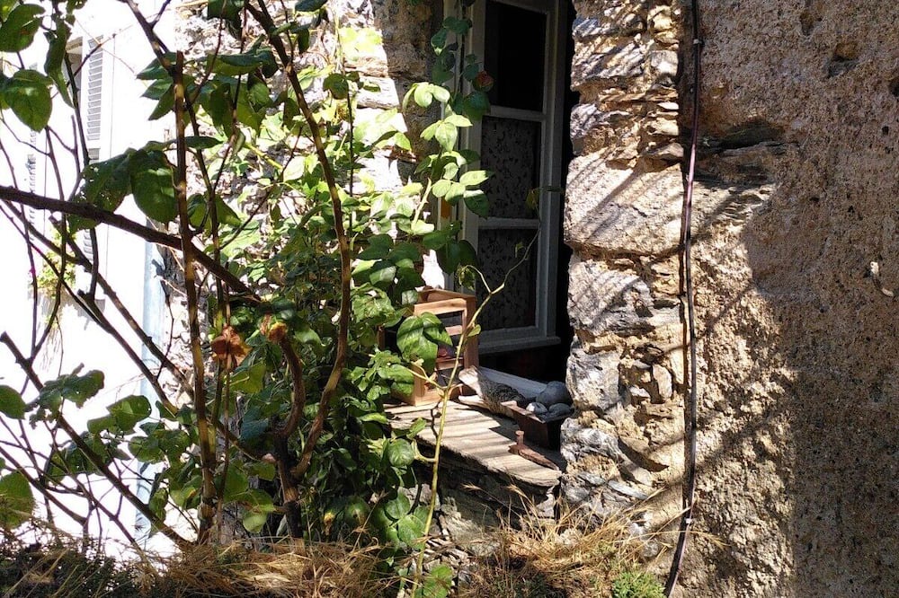 Photo of Outdoor in Olini