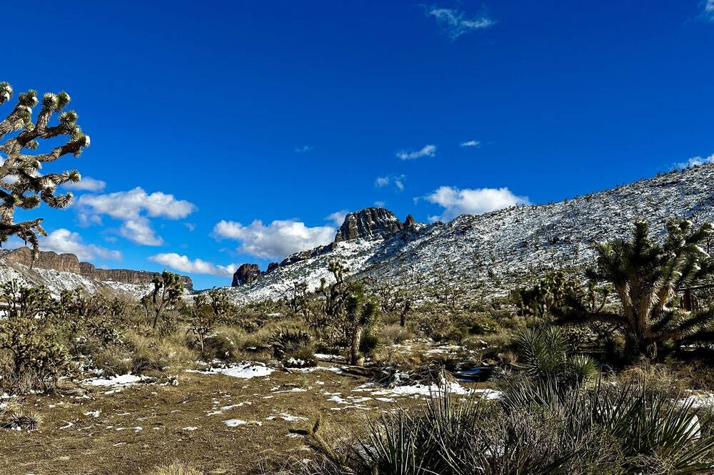 Photo of Outdoor in Dolan Springs