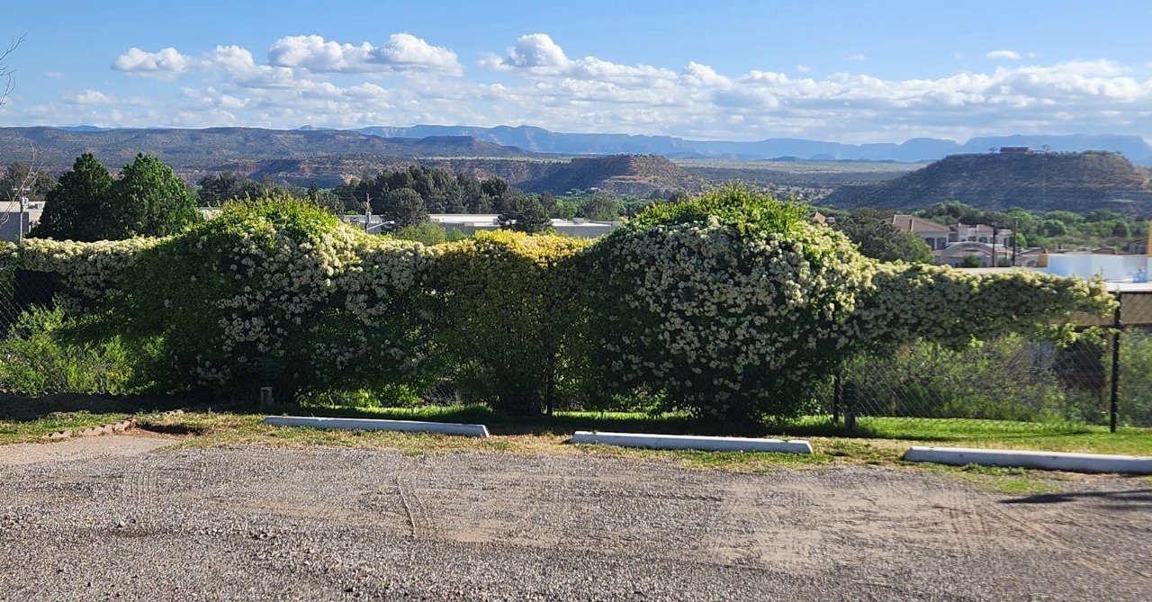 Photo of Outdoor in Cottonwood