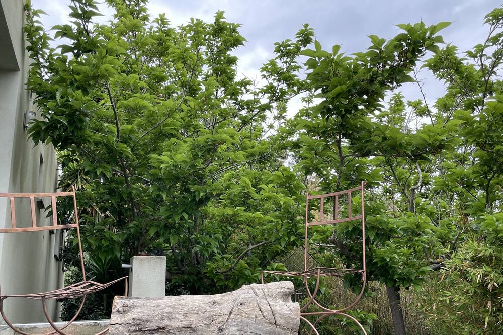 Photo of Outdoor in Residences du Golfe de Lava