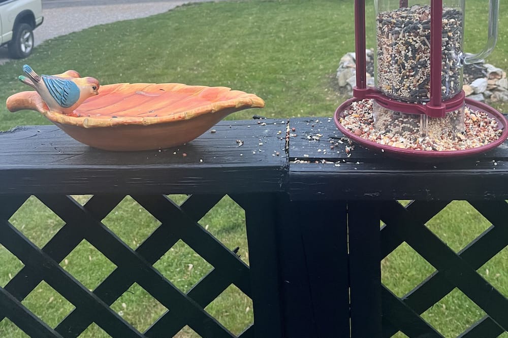 Photo of Outdoor in Olive Hill