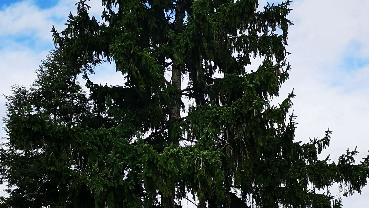 Photo of Outdoor in Columbus