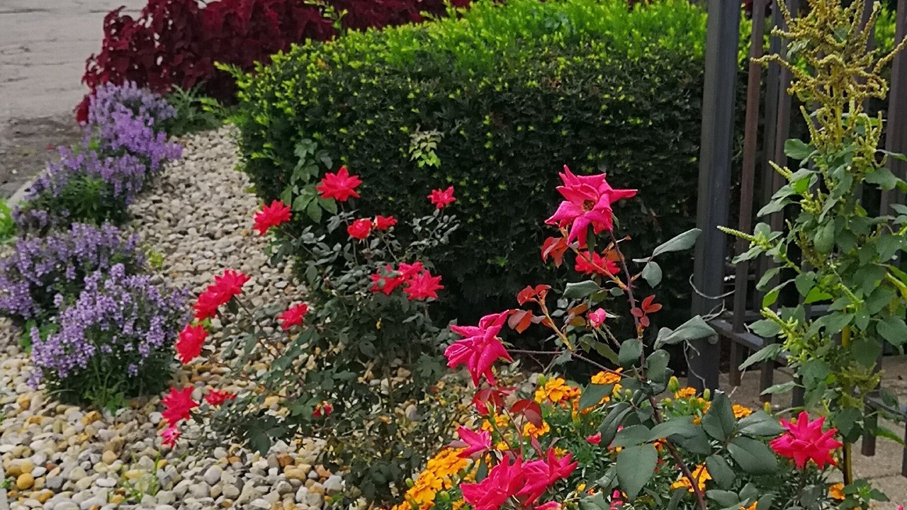 Photo of Outdoor in Columbus