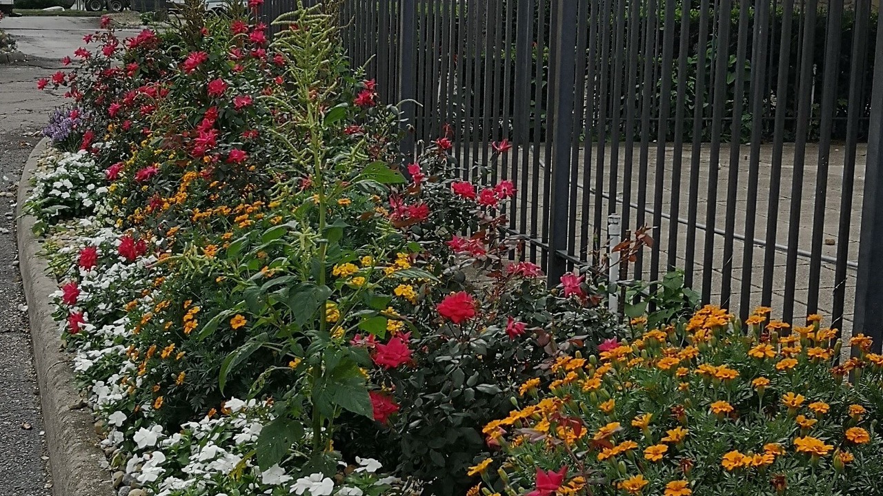 Photo of Outdoor in Columbus
