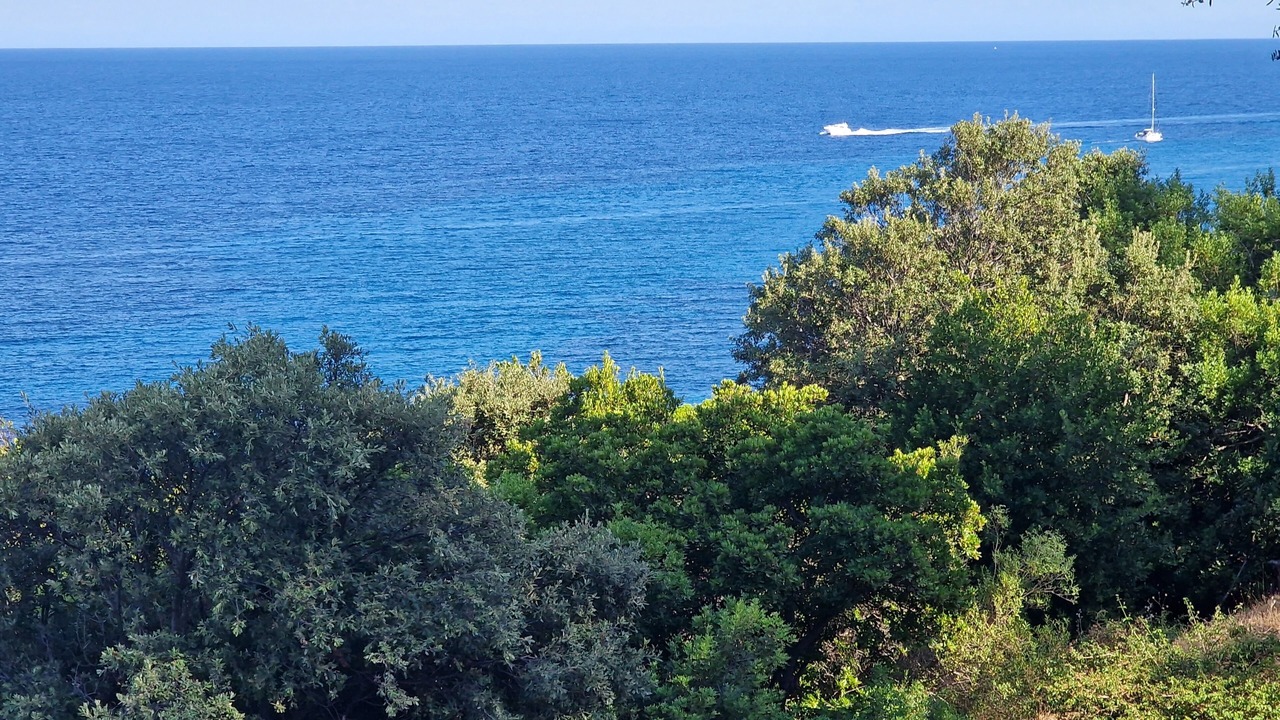 Photo of Outdoor in Tarcu