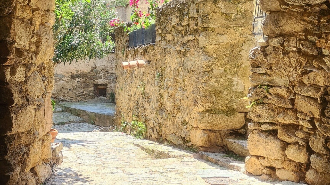 Photo of Others in Lama